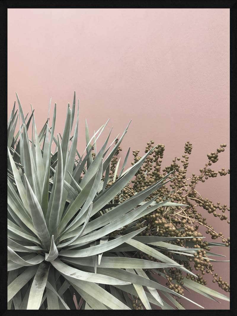 Sukkulent med bærplante plakat – Botanisk vægkunst tilbud