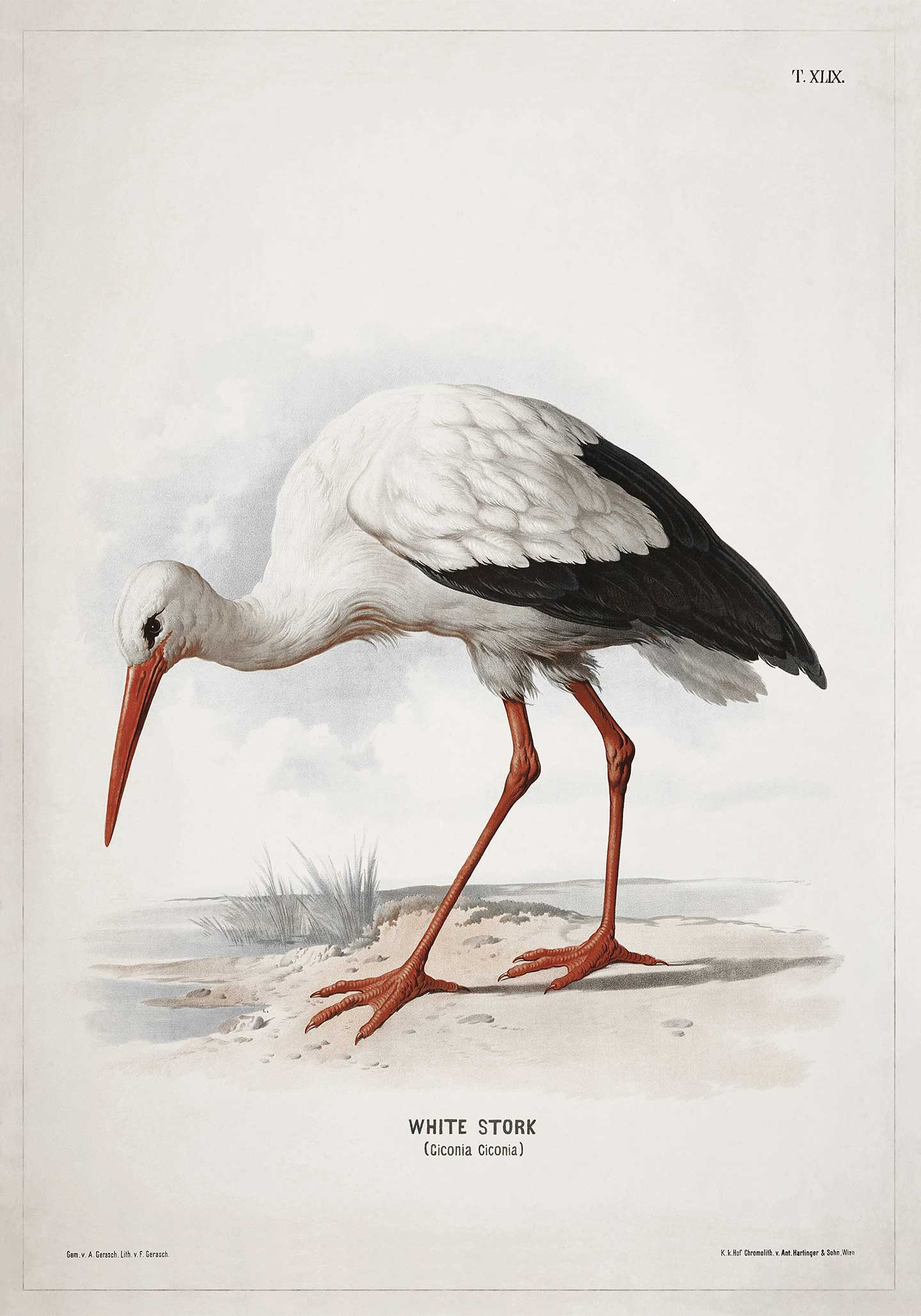 Elegant Plakat med Hvid Stork – Unik Kunst til Dit Hjem