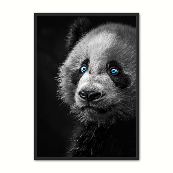 Blå Øjne Panda Plakat – Livlig Dekoration til Dit Hjem