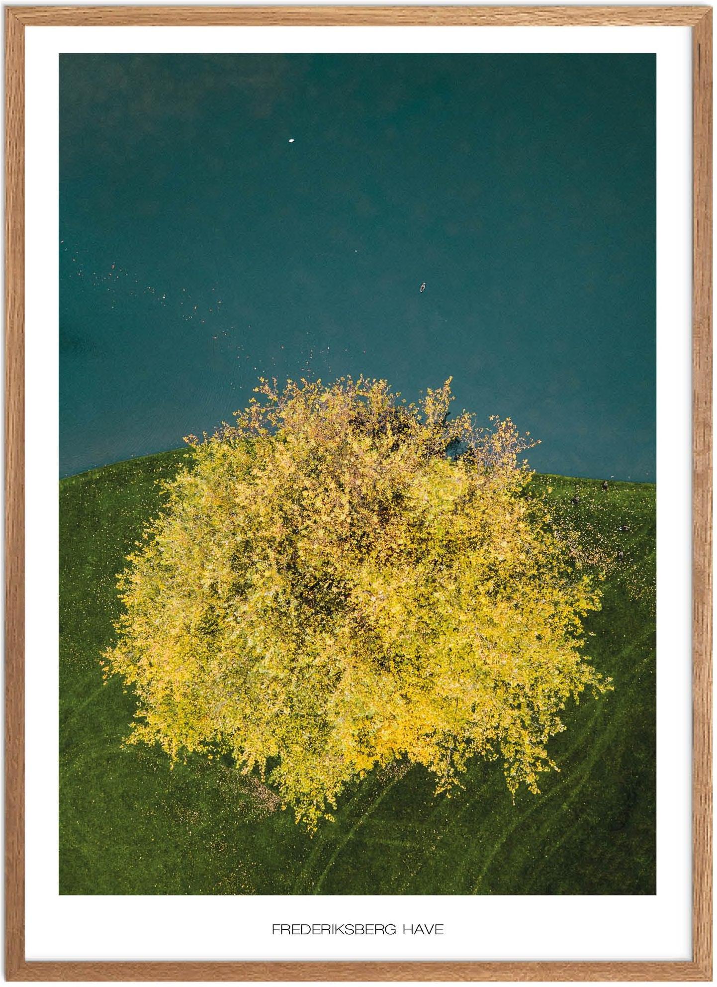Plakat Frederiksberg Have | Naturplakat | Plakater København | Plakat | Plakatsnedkeren | Drone-plakater