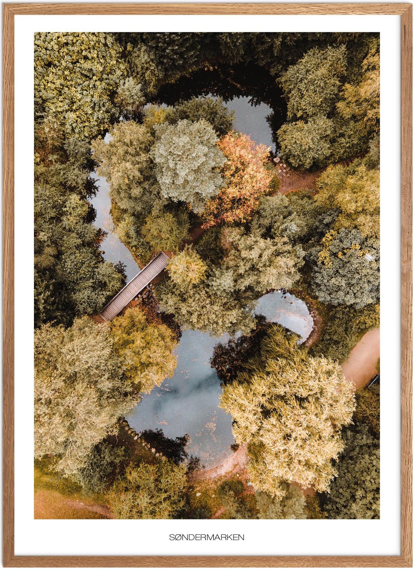 Plakat Søndermarken | Naturplakat | Plakater København | Plakat | Plakatsnedkeren | Drone-plakater