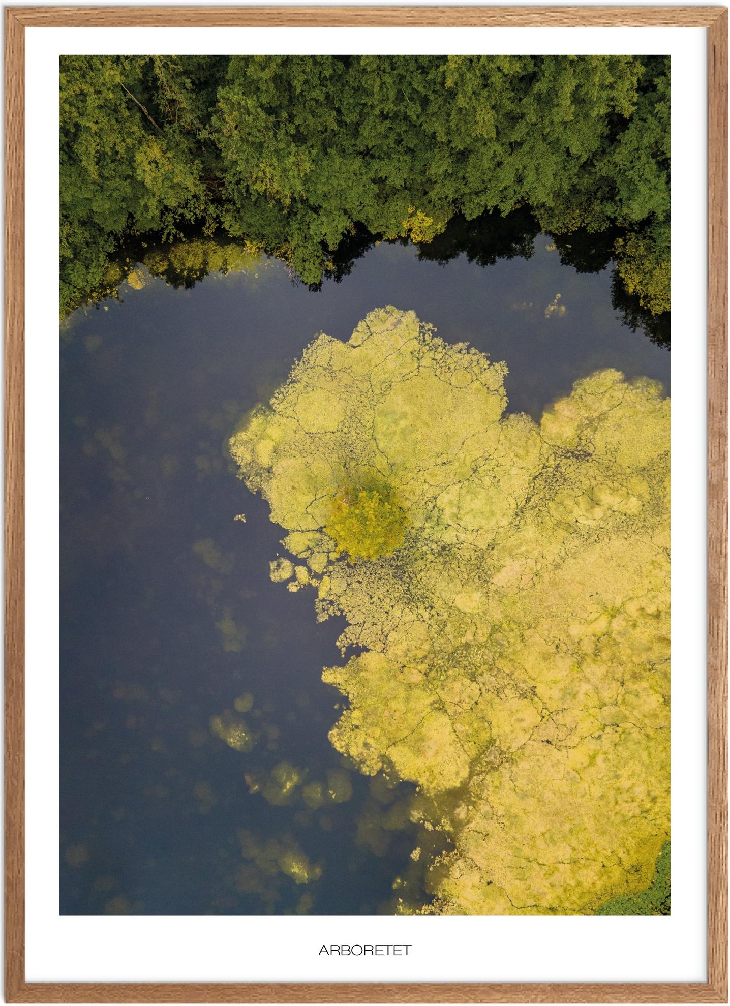 Plakat Arboretet  | Naturplakat | Plakater Nordsjælland | Plakat | Plakatsnedkeren | Drone-plakater