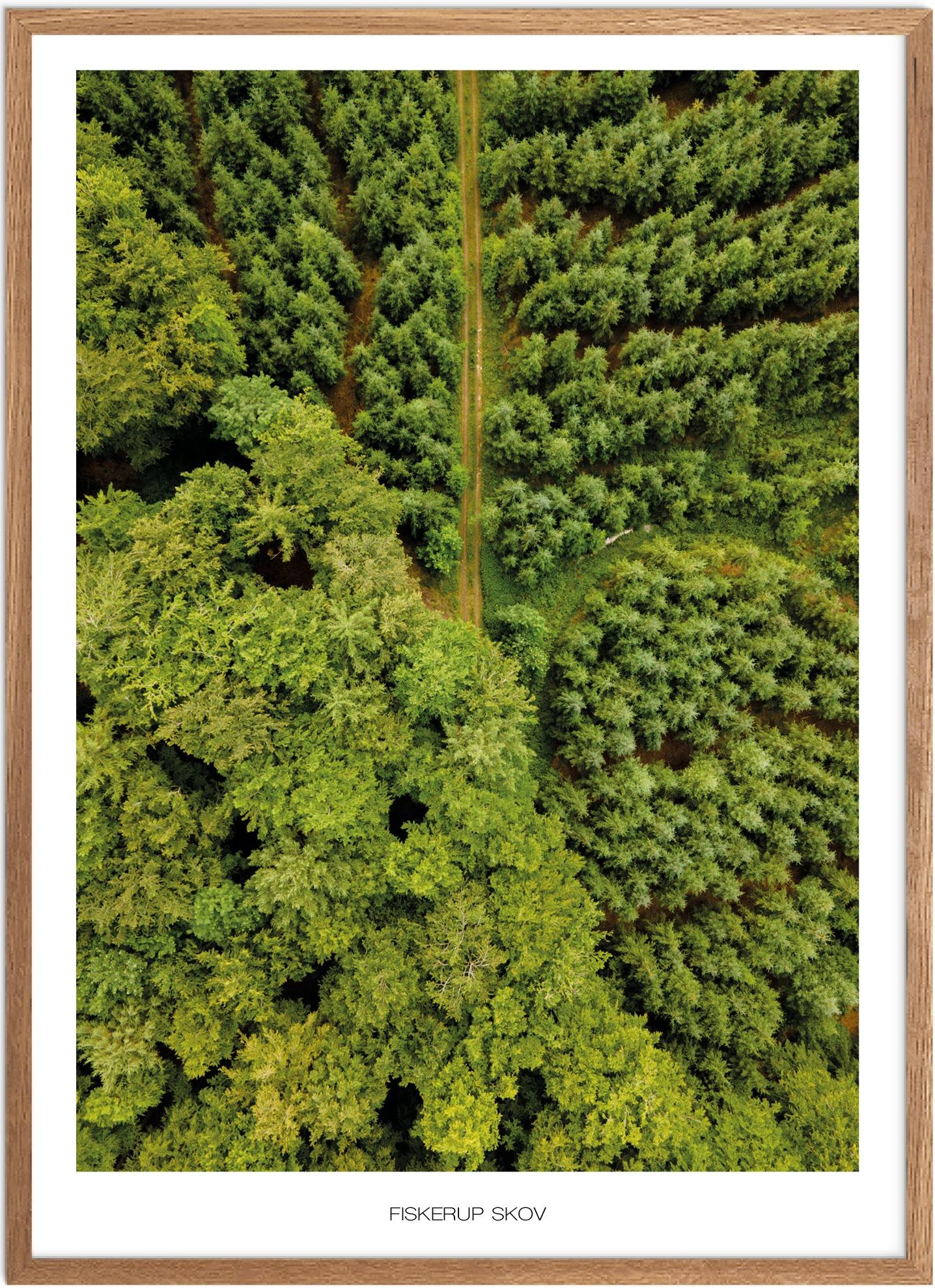 Plakat Fiskerup Skov | Naturplakat | Plakater Fyn | Plakat | Plakatsnedkeren | Drone-plakater