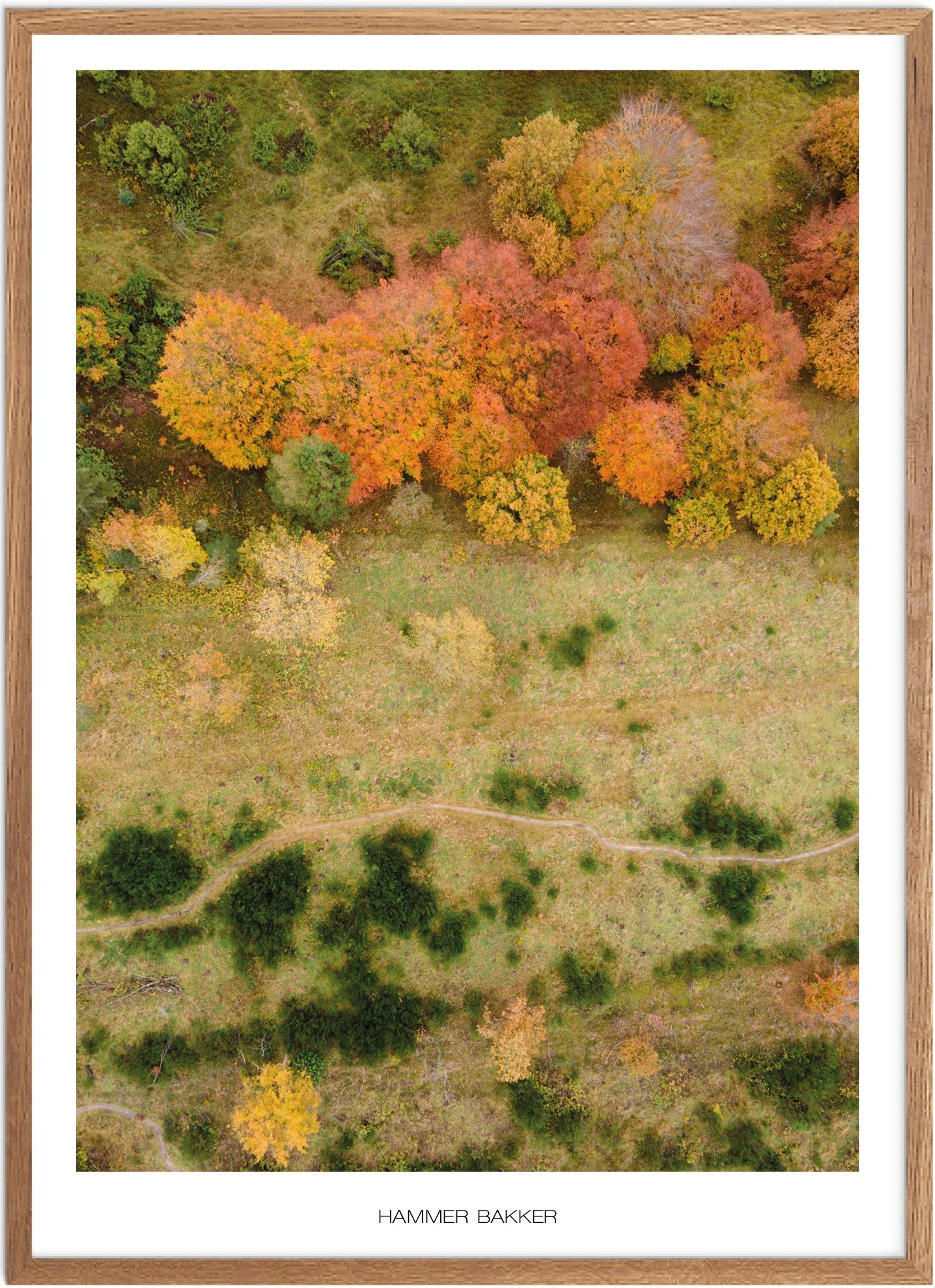 Plakat Hammer Bakker | Naturplakat | Plakater Nordjylland | Plakat | Plakatsnedkeren | Drone-plakater