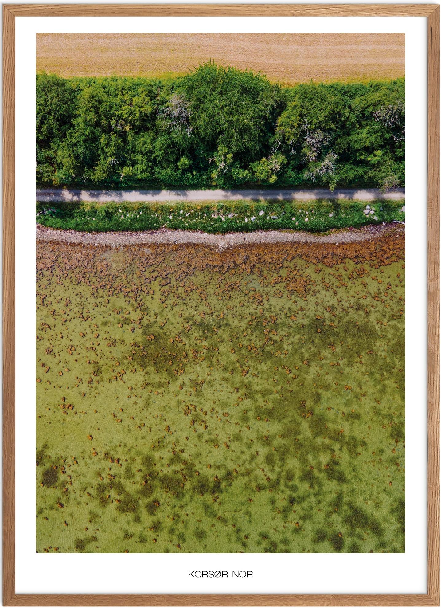 Plakat Korsør Nor | Naturplakat | Plakater Vestsjælland | Plakat | Plakatsnedkeren | Plakater Sydsjælland