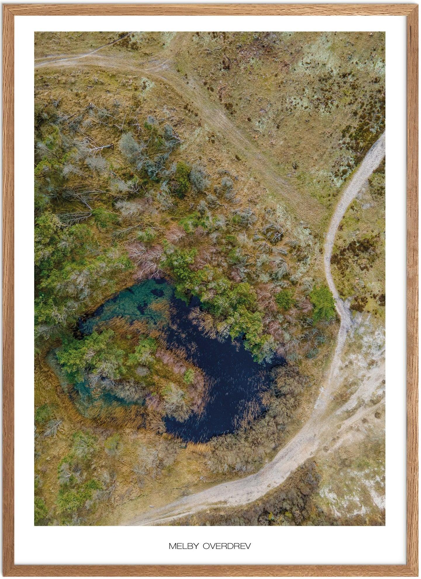 Plakat Melby Overdrev | Naturplakat | Plakater Nordsjælland | Plakat | Plakatsnedkeren | Drone-plakater