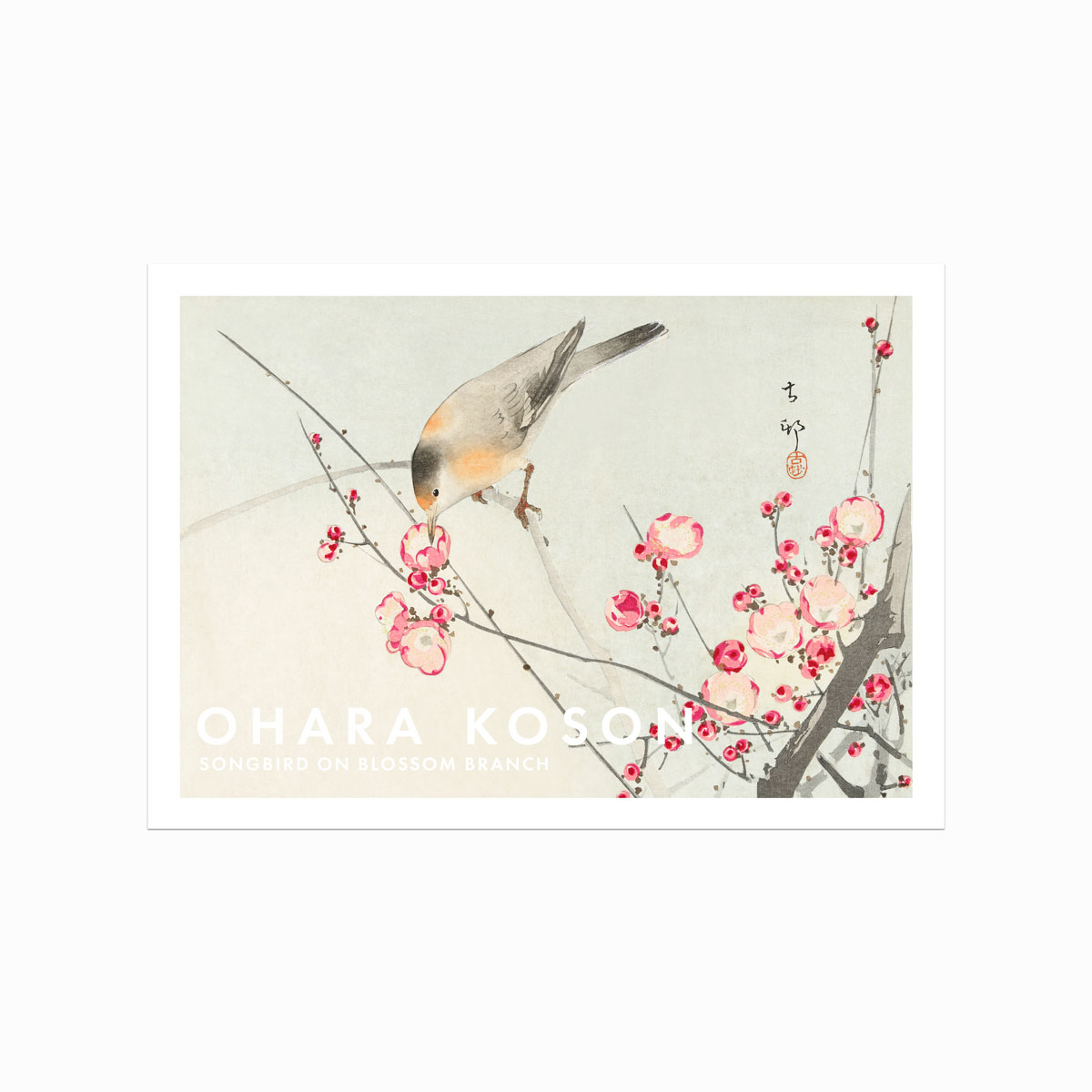 Ohara Koson plakat Songbird on Blossom Branch