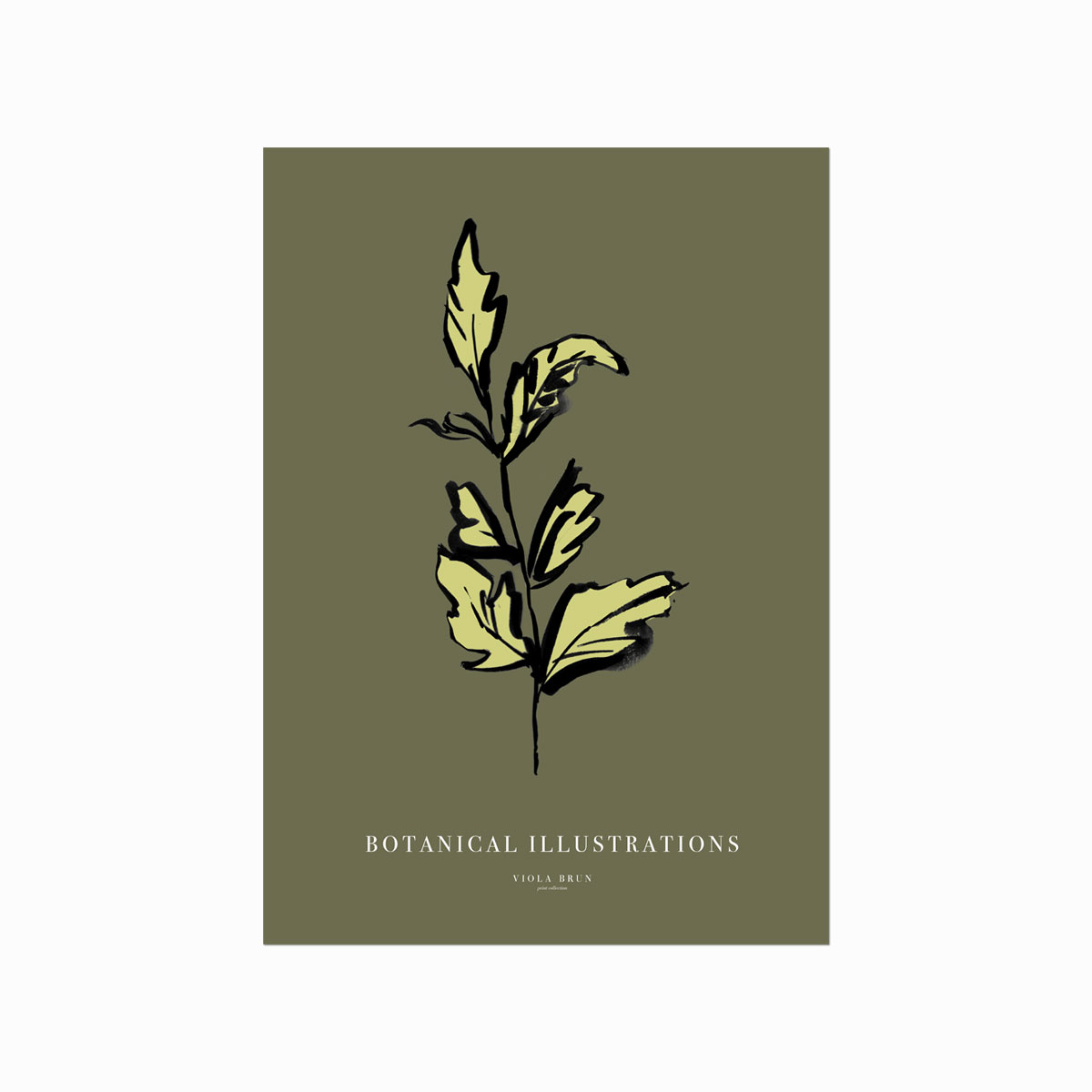 Botanical Illustrations Leaf