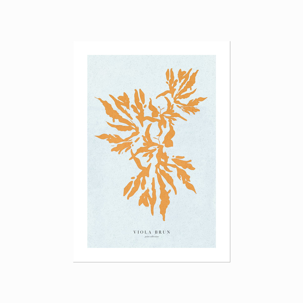 Corals (Burnt Sienna)