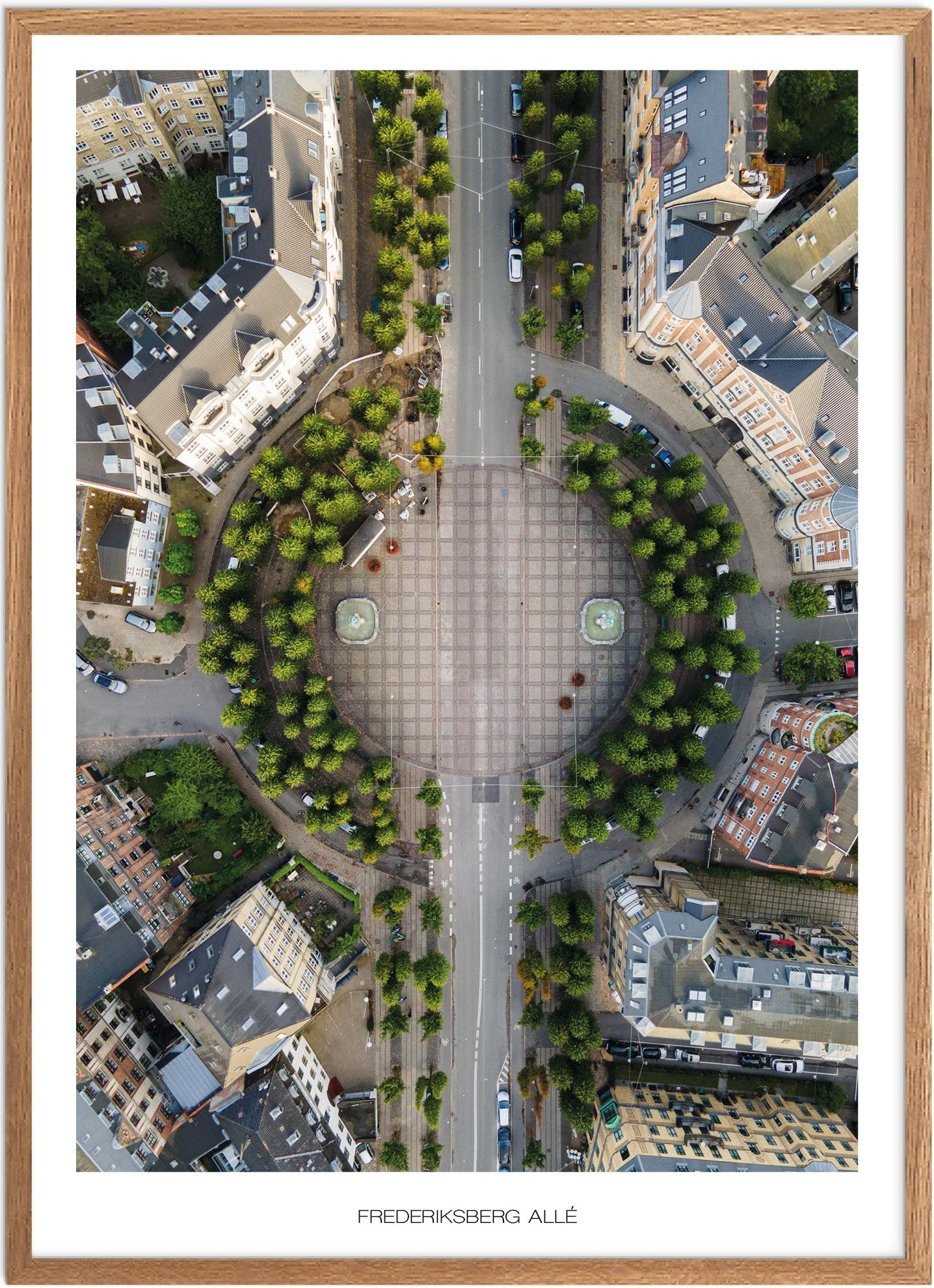 Plakat Frederiksberg Allé | Naturplakat | Plakater København | Plakat | Plakatsnedkeren | Drone-plakater