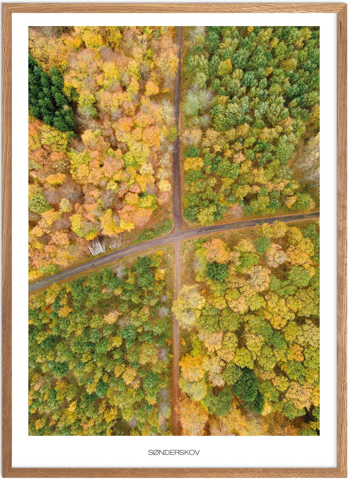 Plakat Sorø Sønderskov  | Naturplakat | Plakater Vestsjælland | Plakat | Plakatsnedkeren | Plakater Østsjælland