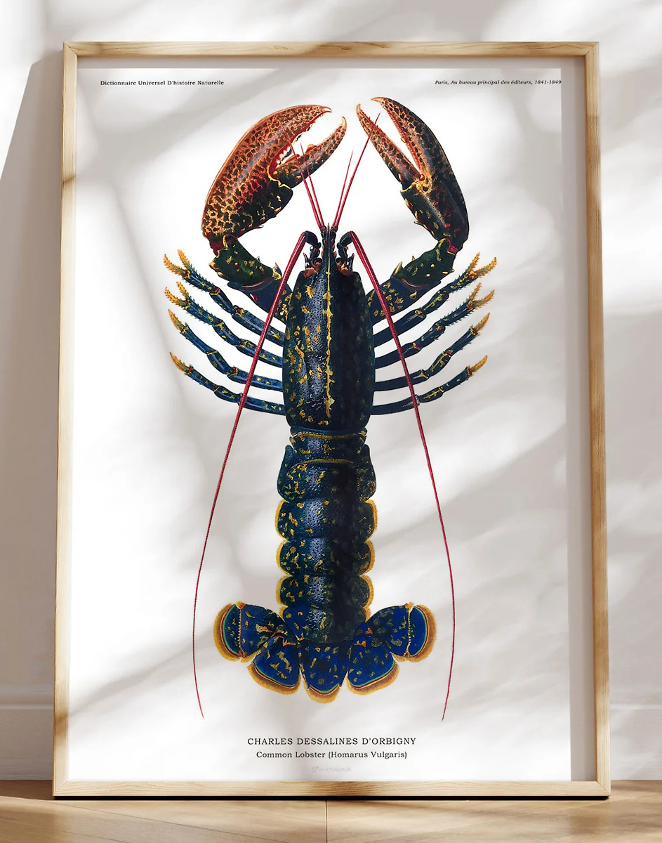Hummer plakat