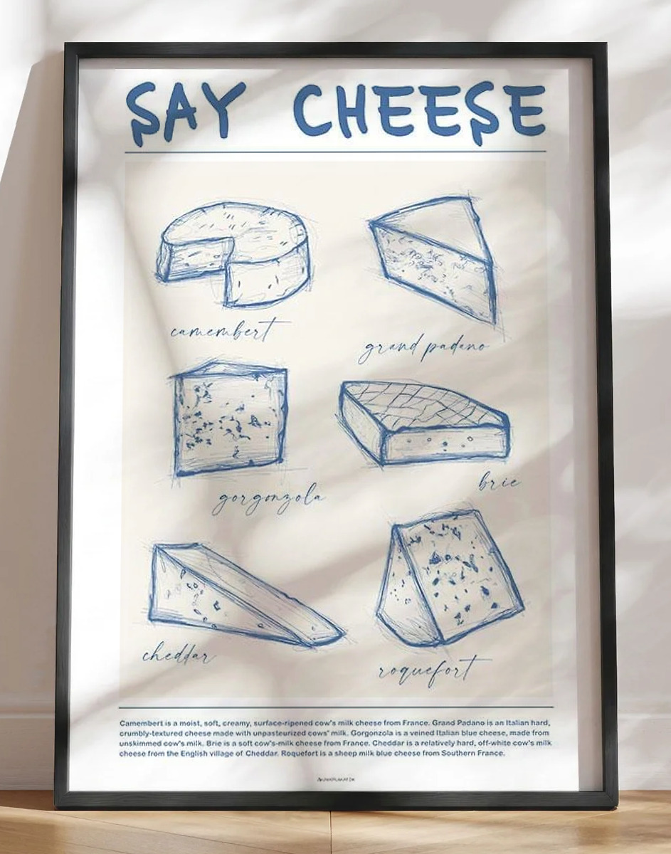 Plakat med oste - osteplakat med 6 skønne typer ost