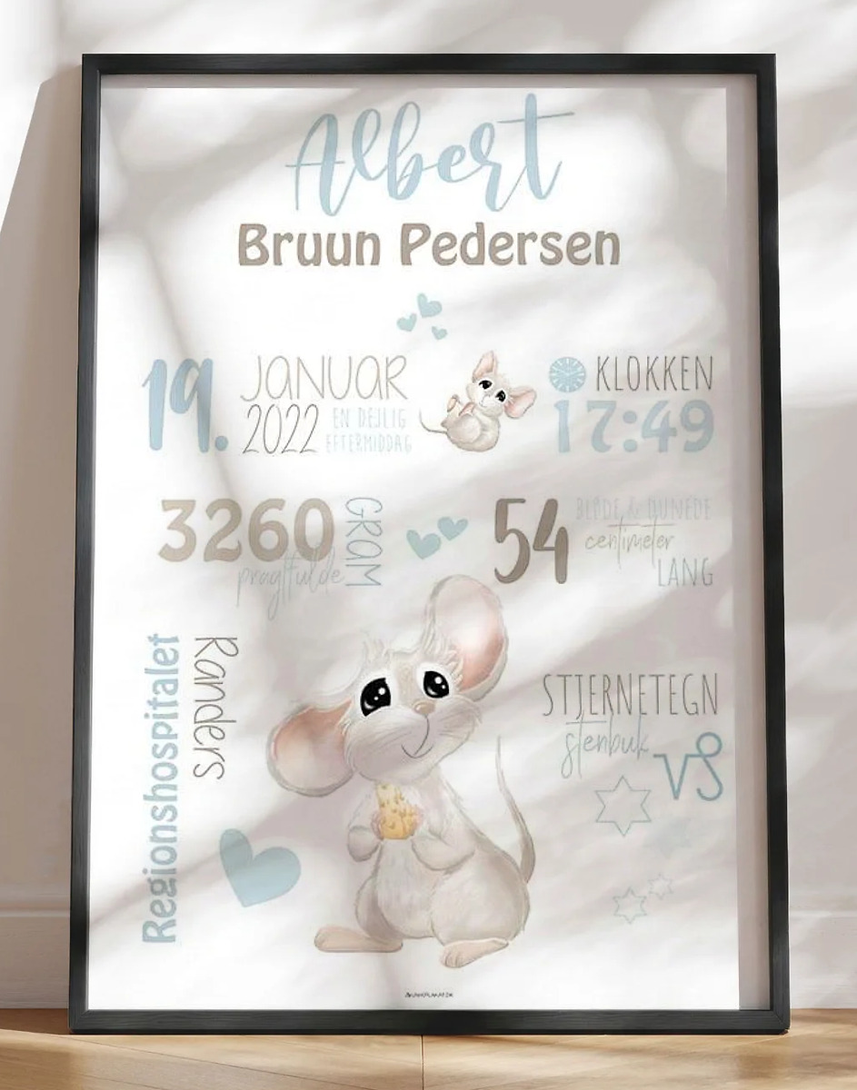 Fødselsplakat med mus til dreng