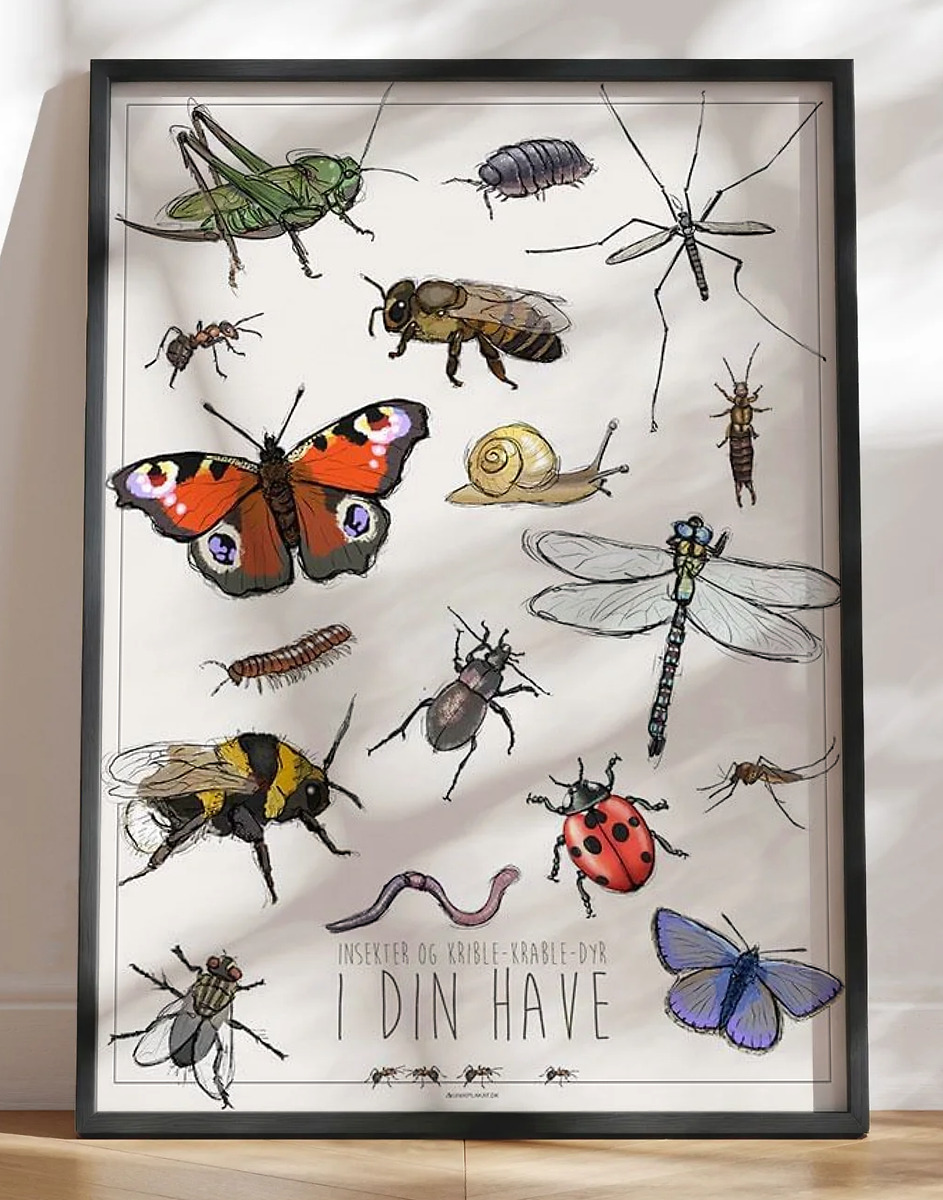 Børneplakat med insekter og smådyr i haven