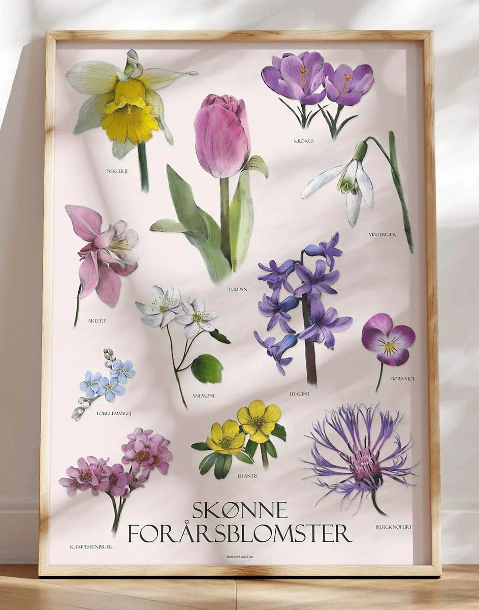 Plakat med forårsblomster - 12 håndtegnede blomster