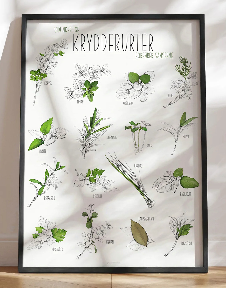 Plakat med krydderurter - 16 grønne urter til madlavningen