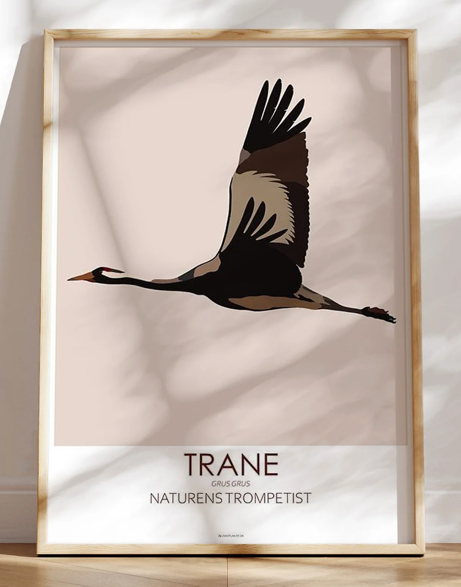Grafisk plakat - Trane