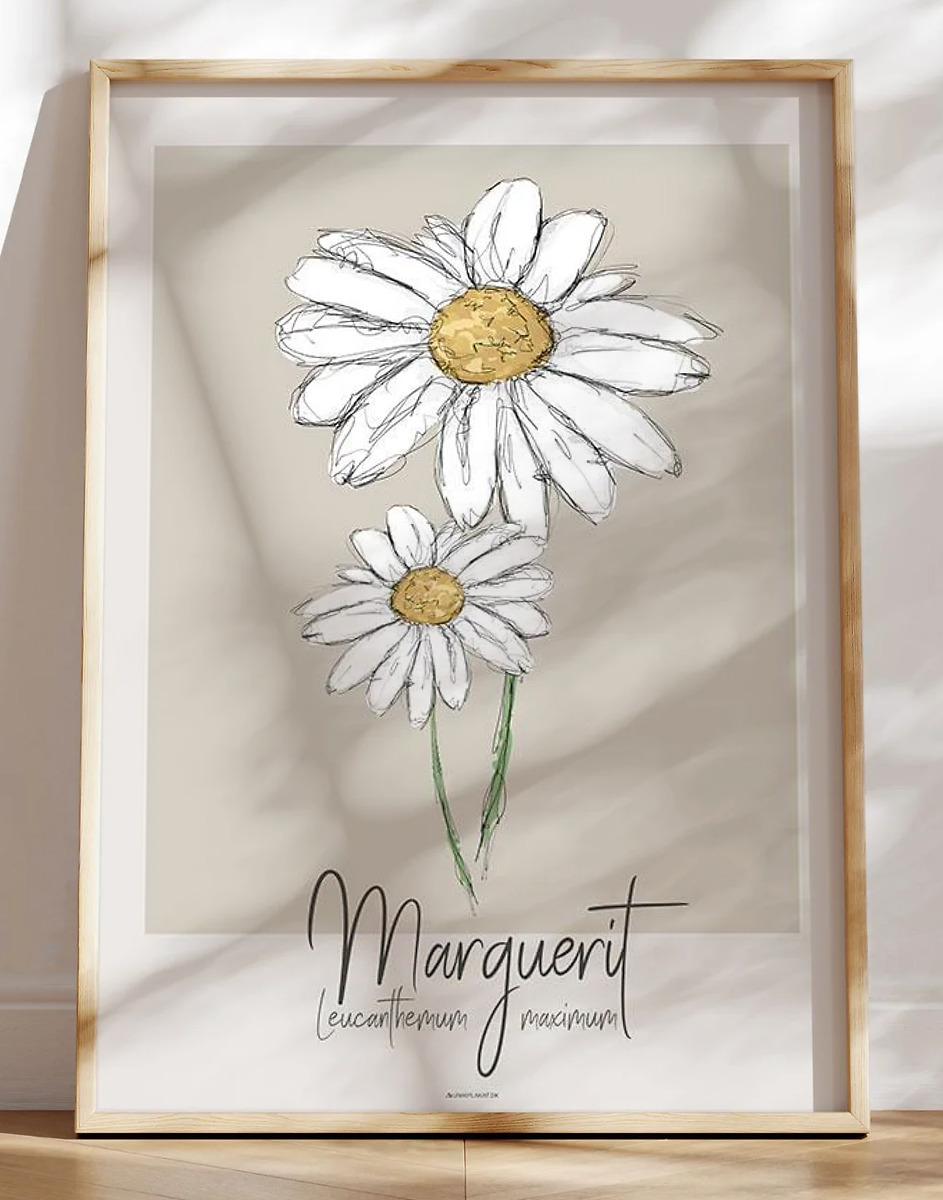 Kunstplakat - Marguerit