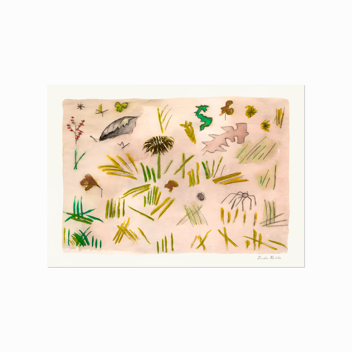 Frida Kahlo  Pequena Vida (Little Life)