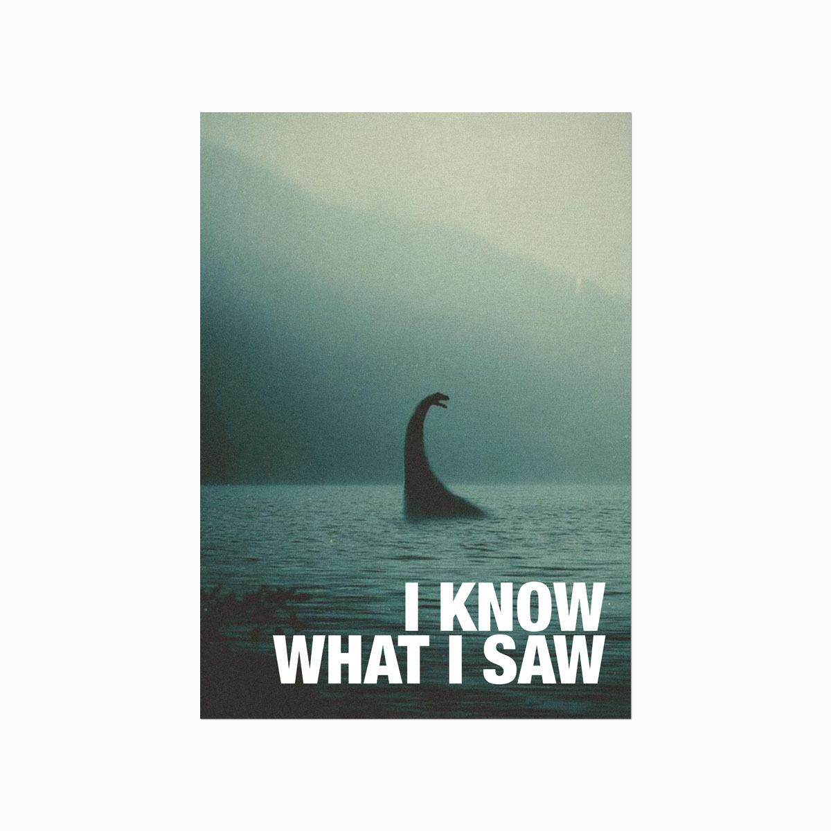 I Know What I Saw