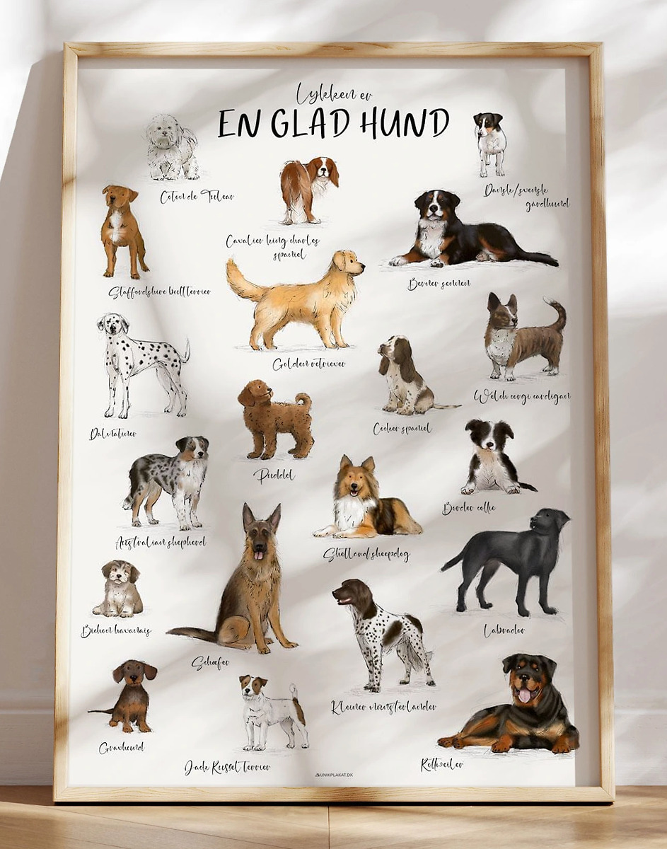 Plakat med hunderacer - 20 dejlige [og håndtegnede] hunde