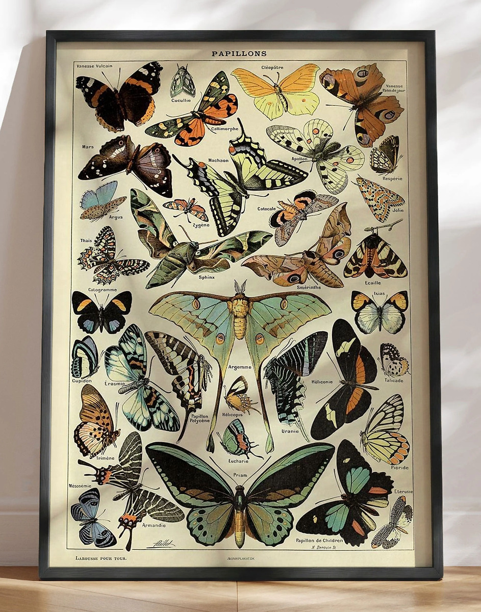 Adolphe Millot - Papillons Pour Tous - Retroplakat med sommerfugle