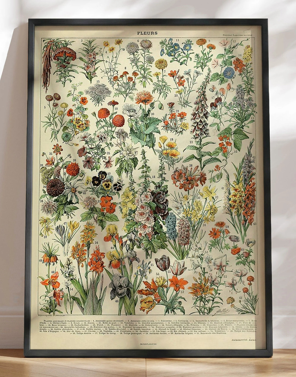 Adolphe Millot - Fleurs - Retroplakat med blomster