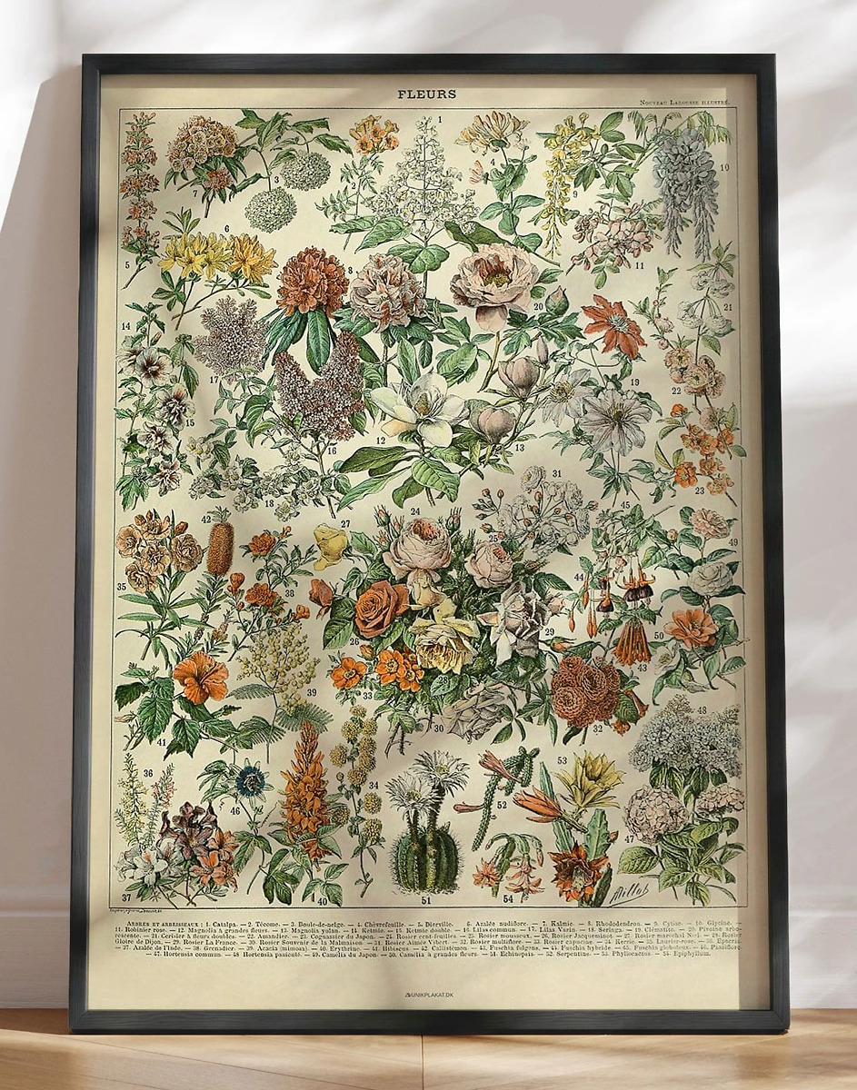 Adolphe Millot - Fleurs - Antik plakat med blomster