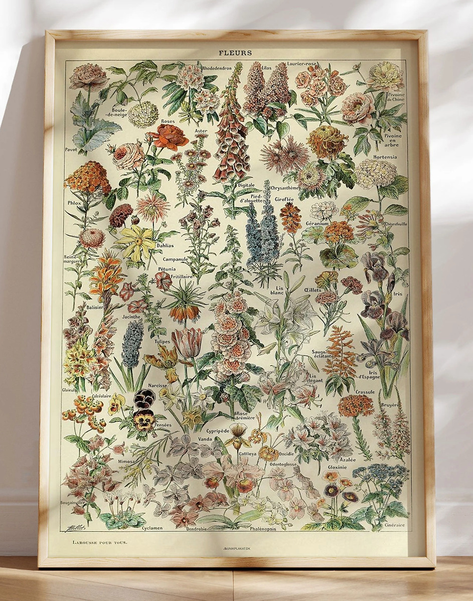 Adolphe Millot - Fleurs - Blomsterplakat