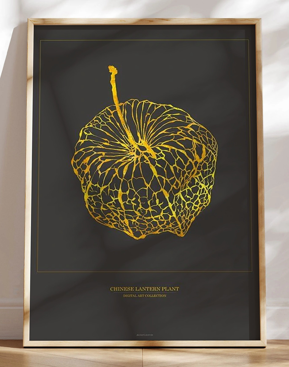 Kunstplakat med grafisk guldeffekt - Chinese Lantern Plant