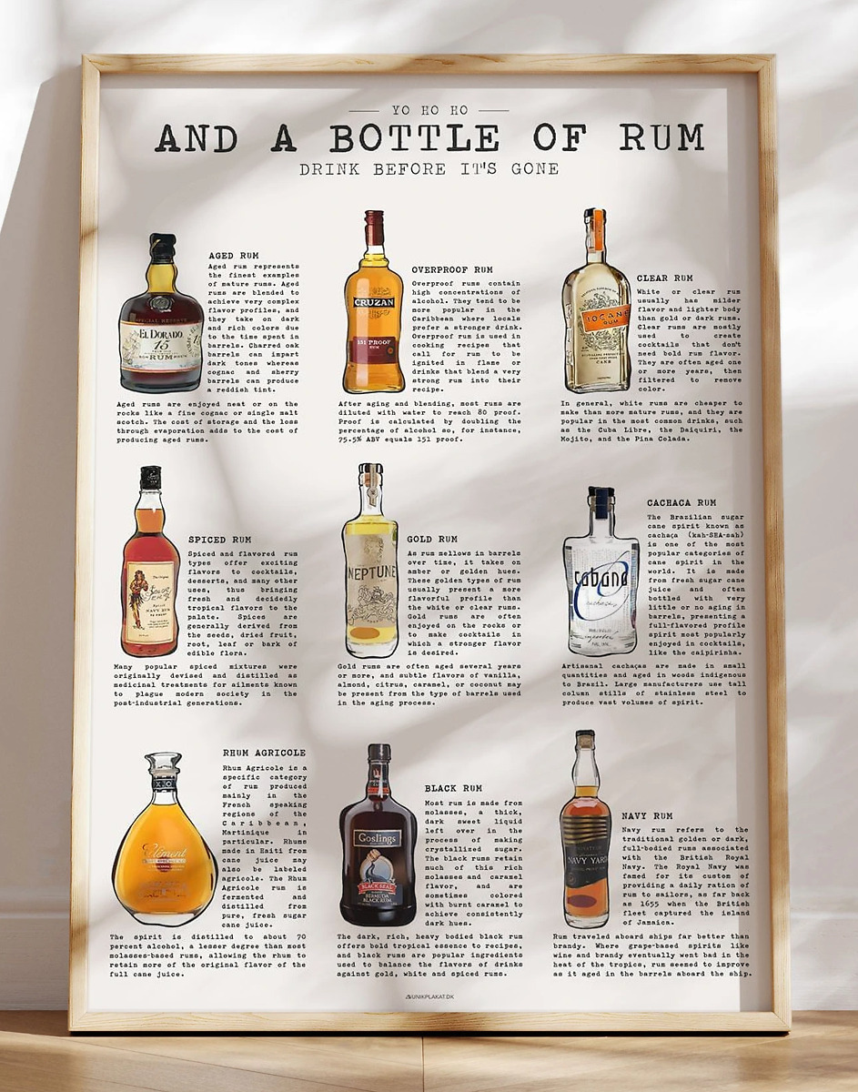 Rom plakat - skøn rom guide med info om 9 forskellige typer rom