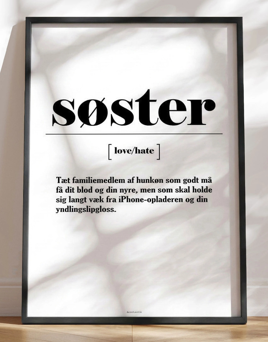 Plakat med sjov definition af søster